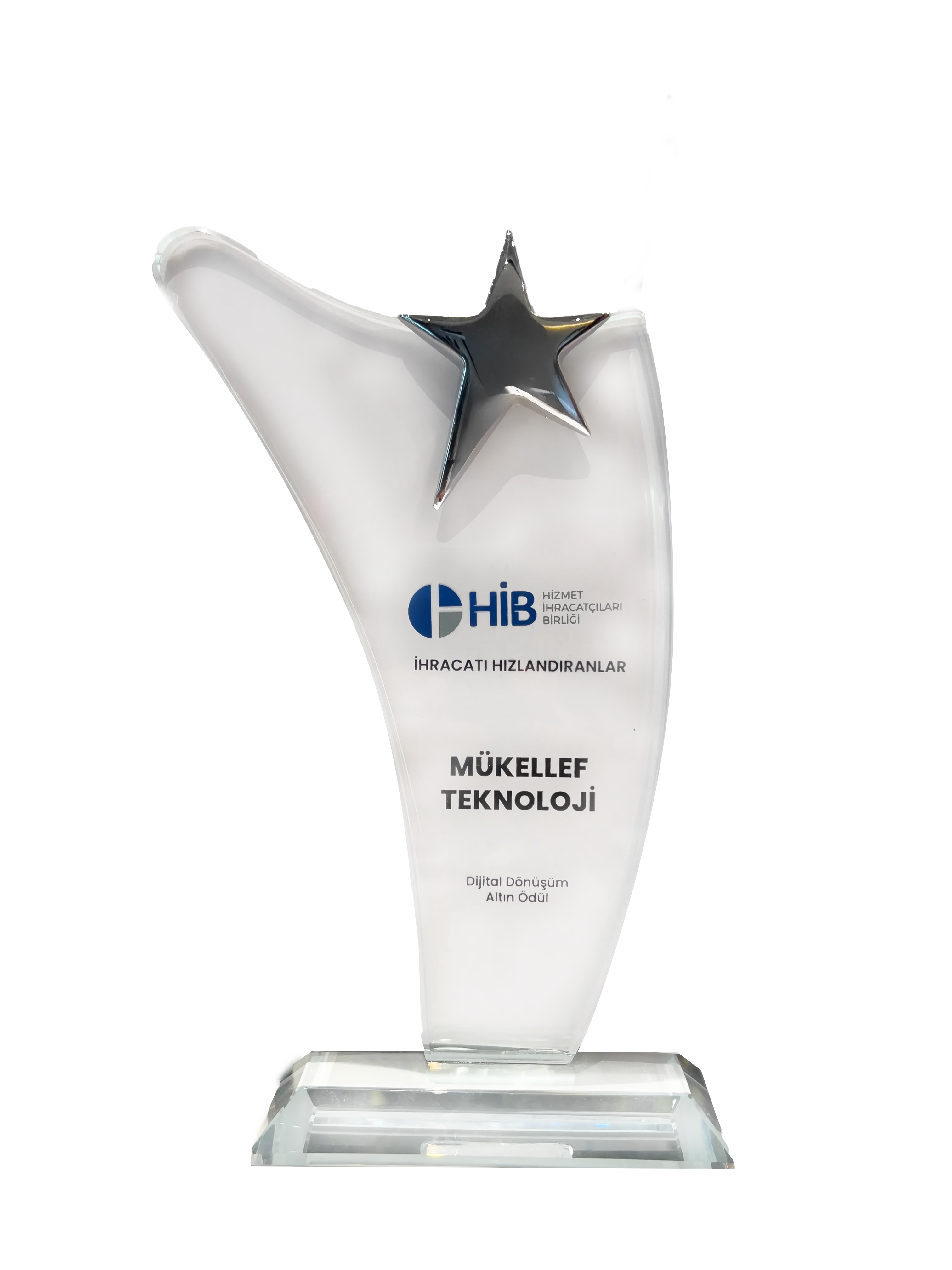 Dijital Dönüşüm Altın Ödülü